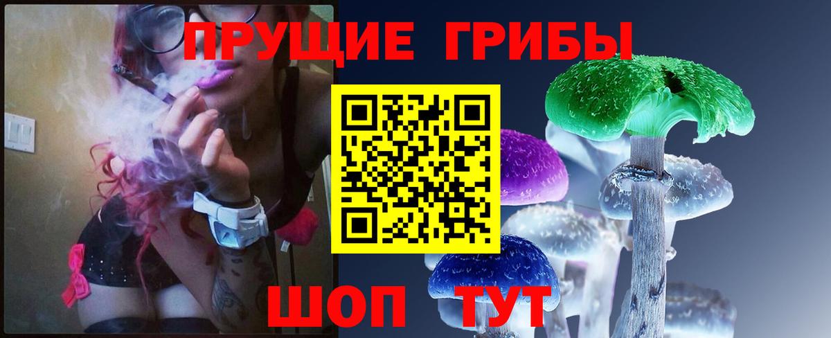 Псилоцибиновые грибы Psilocybine cubensis Солнечногорск